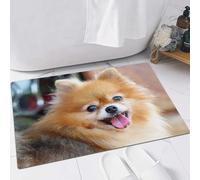 FSDGY Non-slip Barrier Mats Door Mat, Super Absorbent Entrance Rug Machine Washable Soft Floor Mat Carpet,Happy Breed Fashion Pomeranian Dog Animal Small Pet Wildlife Young Puppy Cute,16x24in