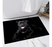 FSDGY Non-slip Barrier Mats Door Mat, Super Absorbent Entrance Rug Machine Washable Soft Floor Mat Carpet,Beautiful English dog Staffordshire Bull Terrier on a black background,24x35in