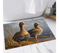 FSDGY Non-slip Barrier Mats Door Mat, Super Absorbent Entrance Rug Machine Washable Soft Floor Mat Carpet,wild duck swims in the lake,16x24in