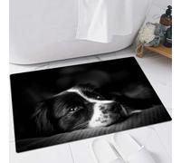 FSDGY Non-slip Barrier Mats Door Mat, Super Absorbent Entrance Rug Machine Washable Soft Floor Mat Carpet,Emotion photo down black and white border collie,24x35in