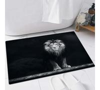 FSDGY Non-slip Barrier Mats Door Mat, Super Absorbent Entrance Rug Machine Washable Soft Floor Mat Carpet,Portrait of a Beautiful lion lion in the dark smoke.,16x24in