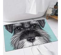 FSDGY Non-slip Barrier Mats Door Mat, Super Absorbent Entrance Rug Machine Washable Soft Floor Mat Carpet,Schnauzer Dog Portrait. Illustrated Portrait of Black Schnauzer on blue background.,16x24in