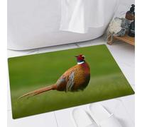 FSDGY Non-slip Barrier Mats Door Mat, Super Absorbent Entrance Rug Machine Washable Soft Floor Mat Carpet,Common Pheasant bird with long tail on the green grass ow animal in the nature habita,16x24in