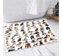 FSDGY Non-slip Barrier Mats Door Mat, Super Absorbent Entrance Rug Machine Washable Soft Floor Mat Carpet,Dog lover decor, picture with purebred dogs Australian Sch,24x35in