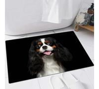 FSDGY Non-slip Barrier Mats Door Mat, Super Absorbent Entrance Rug Machine Washable Soft Floor Mat Carpet,Portrait of Cavalier King Charles Spaniel Dog on Isolated Black Background,16x24in