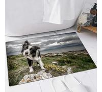 FSDGY Non-slip Barrier Mats Door Mat, Super Absorbent Entrance Rug Machine Washable Soft Floor Mat Carpet,Border Collie,16x24in