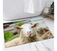 FSDGY Non-slip Barrier Mats Door Mat, Super Absorbent Entrance Rug Machine Washable Soft Floor Mat Carpet,Funny sheep. Portrait of sheep showing tongue.,16x24in