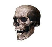 FSF.SDVC Halloween Skull Head Adults Latex Masks Moving Jaw Skeleton Human Face Masks for Cosplay Costume Party Props (White 2)