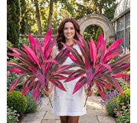 FSFSBLW 2PCS Artificial Tropical Plants Outdoor Fake Dracaena Branches, 60cm Faux Greenery Shrubs, UV Resistant Plastic Leaves for Garden Patio Porch Window Box Decor (Red_2PCS)