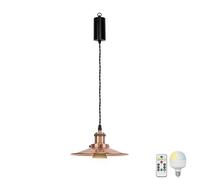 FSLiving Battery Operated Hanging Light Fixture No Driling,Copper Red Iron 1-Light Rechargeable Pendant Light with Remote, Vintage Wireless Hanging Lamp Dimmable for Dining Room Kitchen TB2773