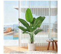 FSOHOI Bird of Paradise Artificial Plant Indoor, 4FT Large Fake Banana Tree | Faux Banana Leaf Plant with Black Pot | Tall Realistic Tropical Floor Plant with 9 Leaves | Living Room, Office & Home Decor