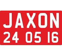 FSSS Ltd ENGRAVED NP NUMBER PLATES FOR CHILDRENS LITTLE TIKES COZY COUPE RIDE ON TOYS (RED)