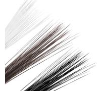 FSSTUD 900 Pcs 7.5 cm Plastic Craft Animal Whiskers Simulated Cat Whiskers Needle Felting Whisker Faux Dog Bunny Whisker DIY Felt Animal Supplies with Storage Box