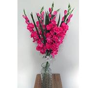 FSUK 6 x Artificial Gladioli Flower Stems - 75cm Long (Pink)