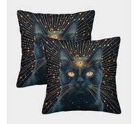 FSYQQASD Cat Pillow Cases Washable Cushion Cover with Invisible Zipper Decorative Pack of 2 for Living Room Sofa 50x50cm