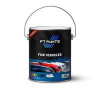 Ft Paints 100Ml Sample Texture Paint With Satin Matt Finish For Vehicles- Ral 6011-Reseda Green
