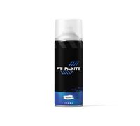 FT Paints Aerosol 400ml 2K Anti-Slip Floor Paint with E9003 Hardener (Slow Drying) For Commercial Kitchens- RAL 9011-Graphite Black
