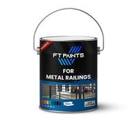 Ft Paints Sample 100Ml Decorative Matt Finish Paint For Metal Railings- Ral 7035-Light Grey