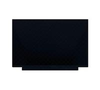 FTDLCD® 17.3 inches 240Hz QHD IPS LED LCD Screen Display Panel Replacement for MSI Raider GE76 12UX 12UHS 12UGS 12UHS-255 12UGS-493 2560x1440