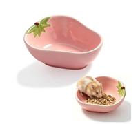 FTGBNKL Hamster Ceramic Food Bowl for Syrian Hamster & Hedgehog,Easy to Clean Smooth-Surface Safe Chew-Resistant Food and Water Dish for for Hamster Rat Small Animals