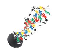 FTVOGUE DNA Structure Model, Plastic DNA Double with Major Minor for Biology Teaching, 5 to 3 Chains, Ideal for Educational Use