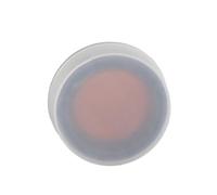 FTVOGUE Peanut Prism Mini Prism Replacement Optical Glass with ABS Shell 1in 25.4mm for Total Station Land Surveying Tunnel Mine Highway Use