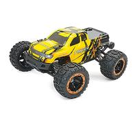 FTX TRACER 1/16 4WD BRUSHLESS MONSTER TRUCK RTR - YELLOW