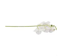 FUANA Real Touch Artificial Phalaenopsis Orchid, 1-Pack 17.7 Inch Fake Flower Stem with 5 Blooms, Flexible DIY Stems for Wedding Centerpiece Home Table Decoration, White(White)