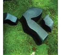 Camila Fuchs - Heart Pressed Between Stones [VINYL]