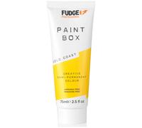 Fudge Professional Paint Box Creative Semi Permanent Hair Colour Gold Coast 75ml
