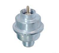 Fuel Filter, F273699 for Buddy Tough Heaters Replacement Diesel Filter Element Part for Parking Heater System Fuel Line Accessories(1PC)