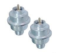 Fuel Filter, F273699 for Buddy Tough Heaters Replacement Diesel Filter Element Part for Parking Heater System Fuel Line Accessories(2PCS)