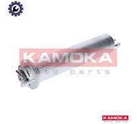 FUEL FILTER F310301 FOR BMW 5/X/SAV/E3/E39 X5/E53 M54B30 3.0L M54B22 2.2L 6cyl