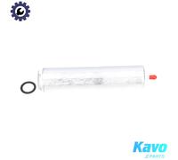 FUEL FILTER FFF-10031 FOR MINI BMW 5/X/E70/F10/F11/E6/E66/E67/Gran/Turismo/F07
