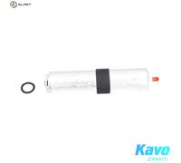 FUEL FILTER FFF-10138 FOR BMW X1/E84 X3/F25 X4/F26 N47D20C/A/D B47D20A M47D20