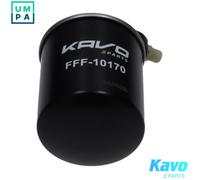 FUEL FILTER FFF-10170 FOR MERCEDES-BENZ R-CLASS GLA-CLASS GLE X-CLASS VITO/Van
