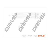 Fuel filter Filter Insert DP1110.13.0090 Drve+ for BMW MINI ALPINA