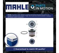 Fuel Filter fits FORD RANGER TKE TDCi 2.2D 2011 on Mahle 1722896 1725552 1749359
