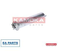 Fuel filter for BMW E39 E53 KAMOKA F310301