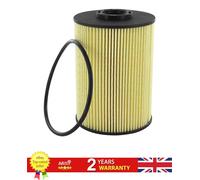 Fuel Filter For Citroen C5 08- C6 05-11 Peugeot 407 05-10 607 04-11 1901.86