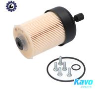 Kavo Parts Fuel Filter NF-2482 - In-line for Opel, Renault (Trafic 2.3L) & Mercedes-Benz