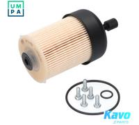 Kavo Parts Fuel Filter NF-2482 - In-line for Opel, Renault (Trafic 2.3L) & Mercedes-Benz