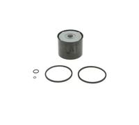 Bosch 1457434201 Fuel Filter (N4201)