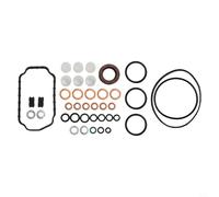 Fuel Injection Pump Repair Set Compatible with 1467010059 14670 Through 10059 1 to 467-010 to 059 Ve Jet Pump Rebuild Set Metal and Rubber Parts for 5.9 for 12v 2500