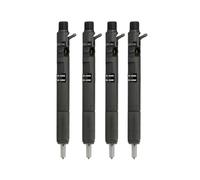Fuel Injector 4 PCS New Compatible for Delphi EJBR02901D CRDI Diesel Fuel Injector Compatible for Hyundai Terracan/KIA Carnival Sedona 2.9 33800-4X800