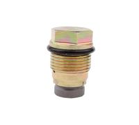 Fuel Injector Common Rail Pressure Relief Valve 1110010013 1110010014 1110010015 1110010017 1110010018 1110010019 1110010022(1110010022)