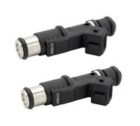 Fuel Injector Compatible with C&itroen C4 C5 C8 for Evasion for Jumpy for Xsara 2.0 2Pcs Replacement Fuel Injector Nozzles Auto Parts OEM 1984E2 01F003A