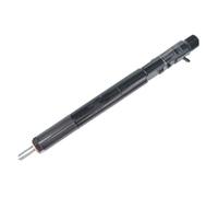 Fuel Injector Fit for Delphi Common Rail Diesel Injector EJBR03301D EJBR03701D EJBR05301D EJBR02801D EJBR02901D EJBR06101D Fuel Injector Nozzle(EJBR06101D)