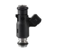 Fuel Injector Nozzle Motorcycle Fuel Injector Spray Nozzle for Delphi Motorbike Accessory KYY-17PYQ Square Plug Two Holes 125CC High Performance