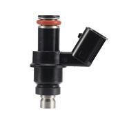 Fuel Injector Nozzles 250CC Motorcycle Fuel Injector BT-B Spray Nozzle Ten Hole Length 43.6mm for Motorbike Part Accessory